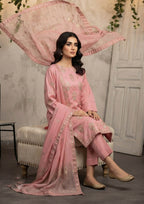 Ayla Zahra Anii Blush Pink Karandi '26 - view 3